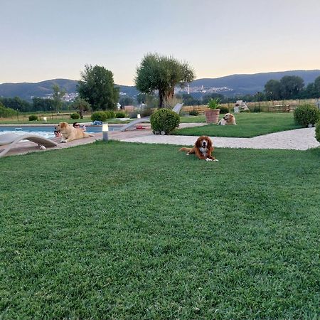 Agriturismo Tenuta Filippi Narni Exteriér fotografie