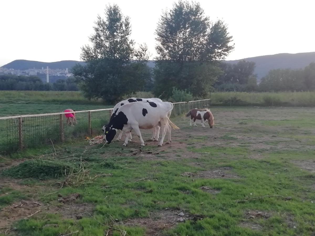 Agriturismo Tenuta Filippi Narni Exteriér fotografie
