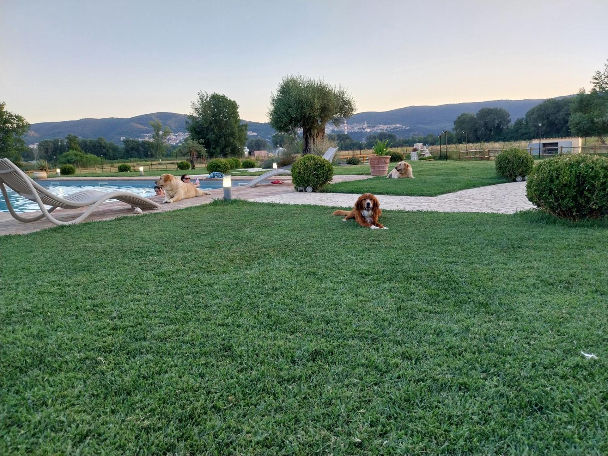 Agriturismo Tenuta Filippi Narni Exteriér fotografie